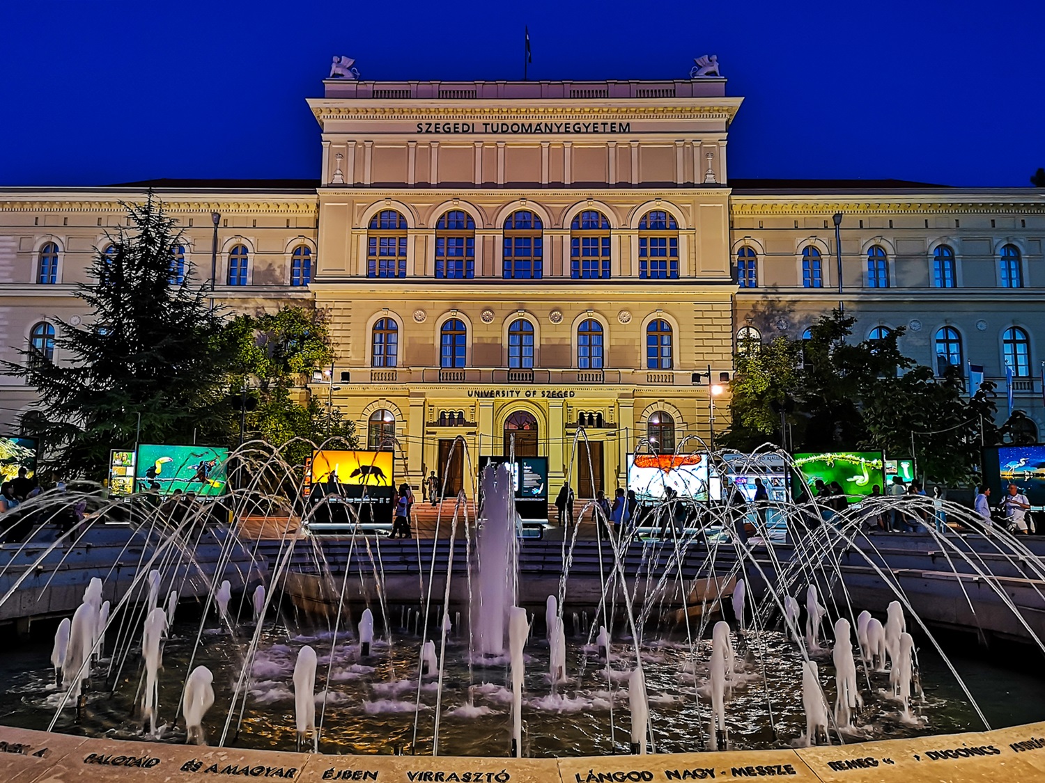 دانشگاه سگد